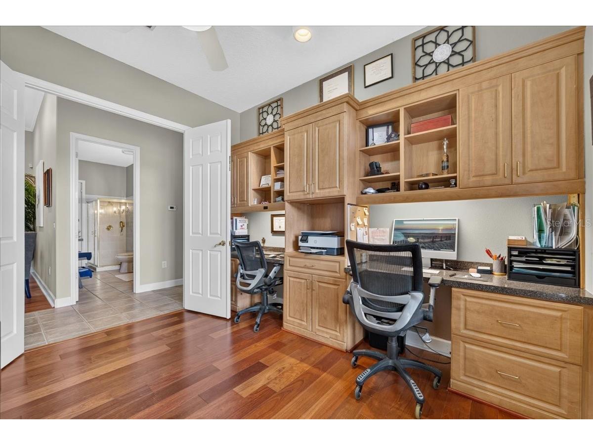 3874 Crescent Cove Place Tarpon Springs FL 34688 TB8528562 image39
