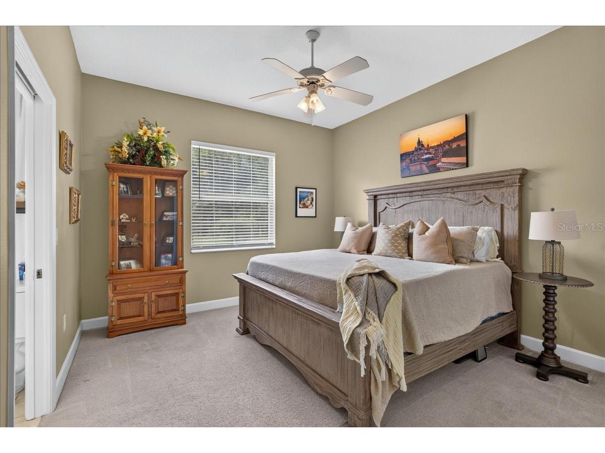3874 Crescent Cove Place Tarpon Springs FL 34688 TB8528562 image40
