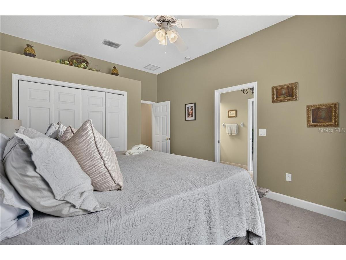 3874 Crescent Cove Place Tarpon Springs FL 34688 TB8528562 image41