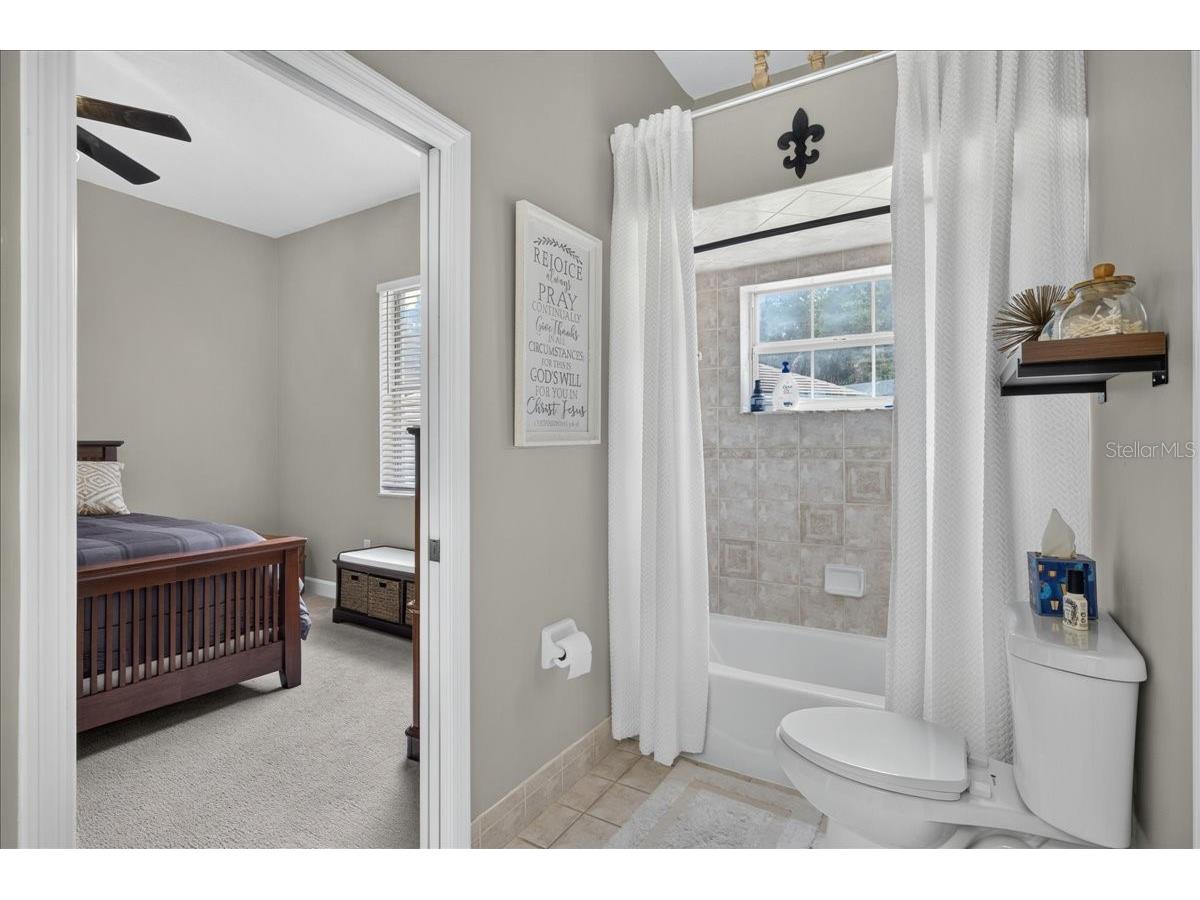 3874 Crescent Cove Place Tarpon Springs FL 34688 TB8528562 image42