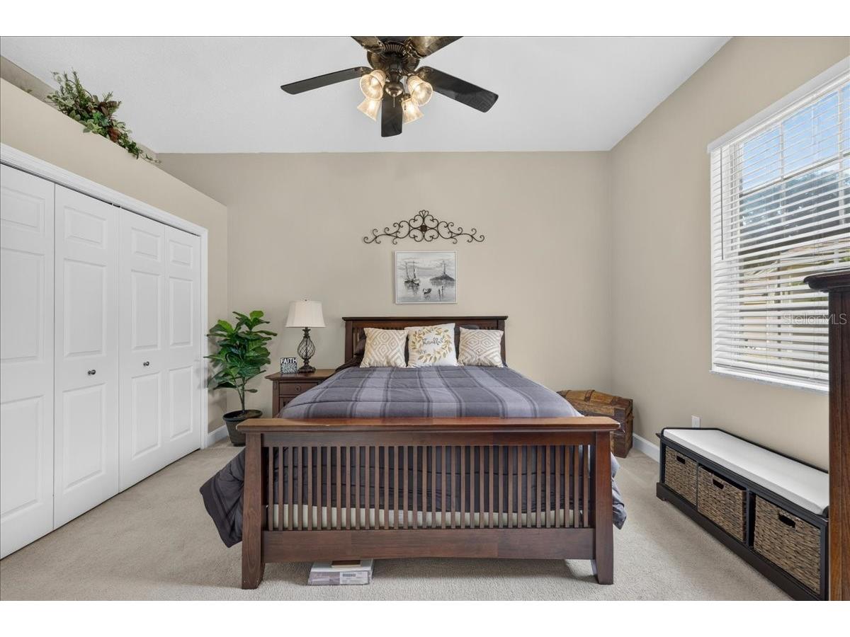 3874 Crescent Cove Place Tarpon Springs FL 34688 TB8528562 image44