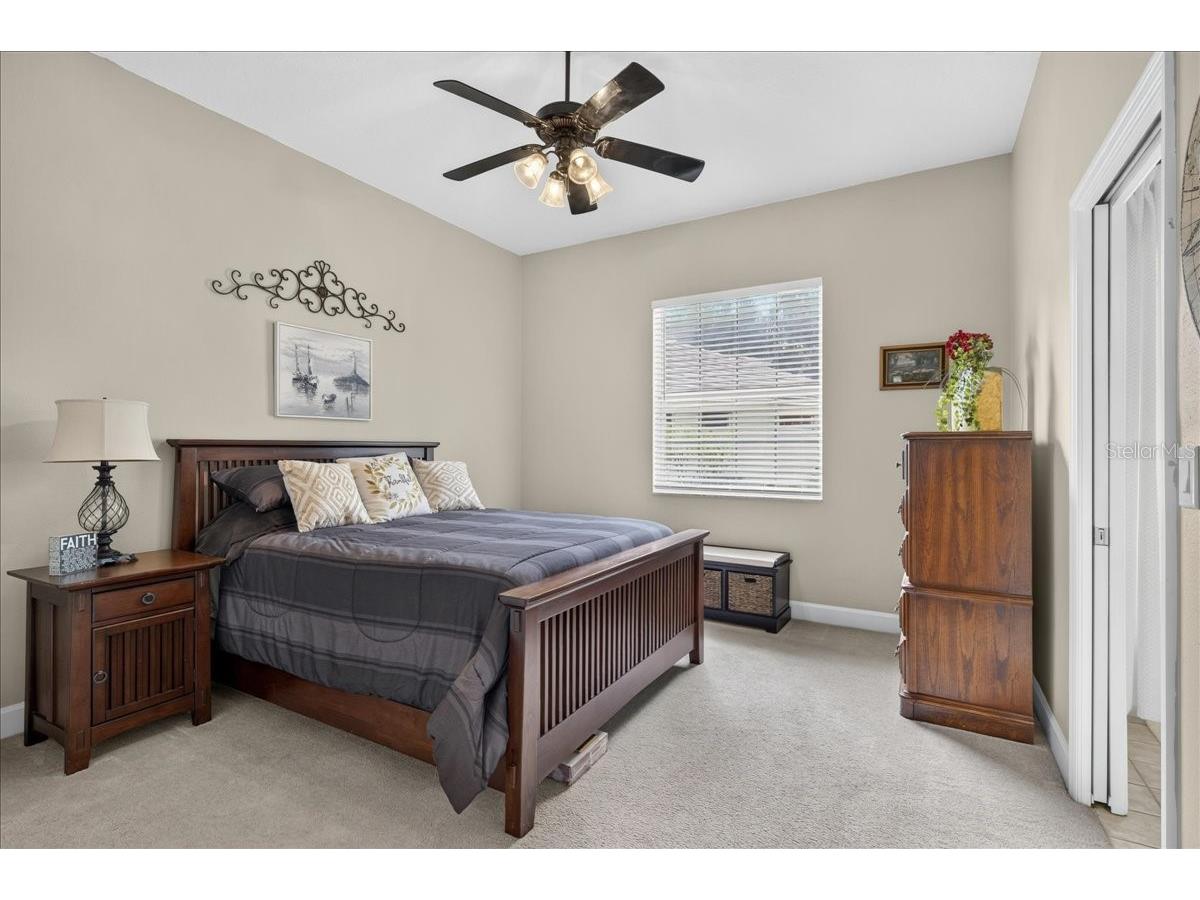 3874 Crescent Cove Place Tarpon Springs FL 34688 TB8528562 image45