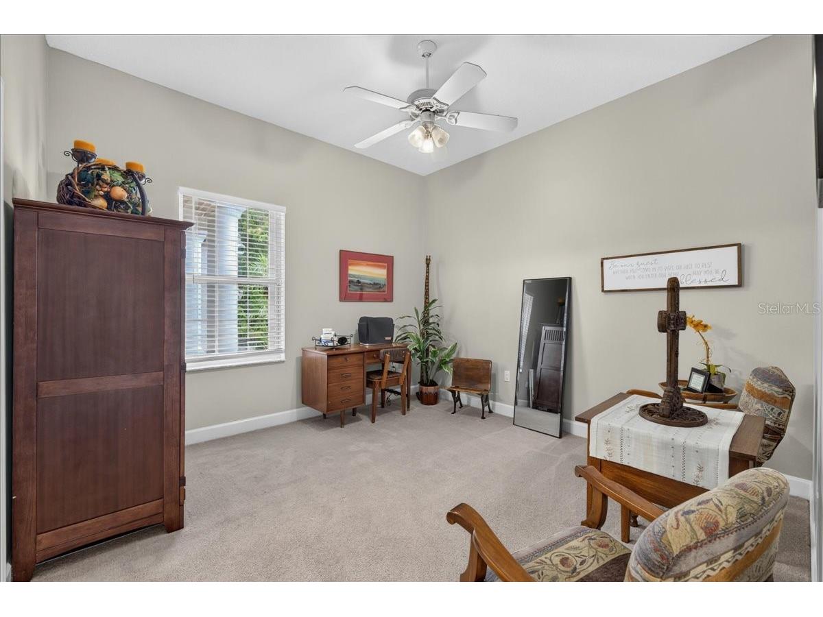 3874 Crescent Cove Place Tarpon Springs FL 34688 TB8528562 image46