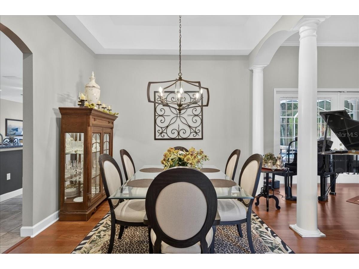 3874 Crescent Cove Place Tarpon Springs FL 34688 TB8528562 image5