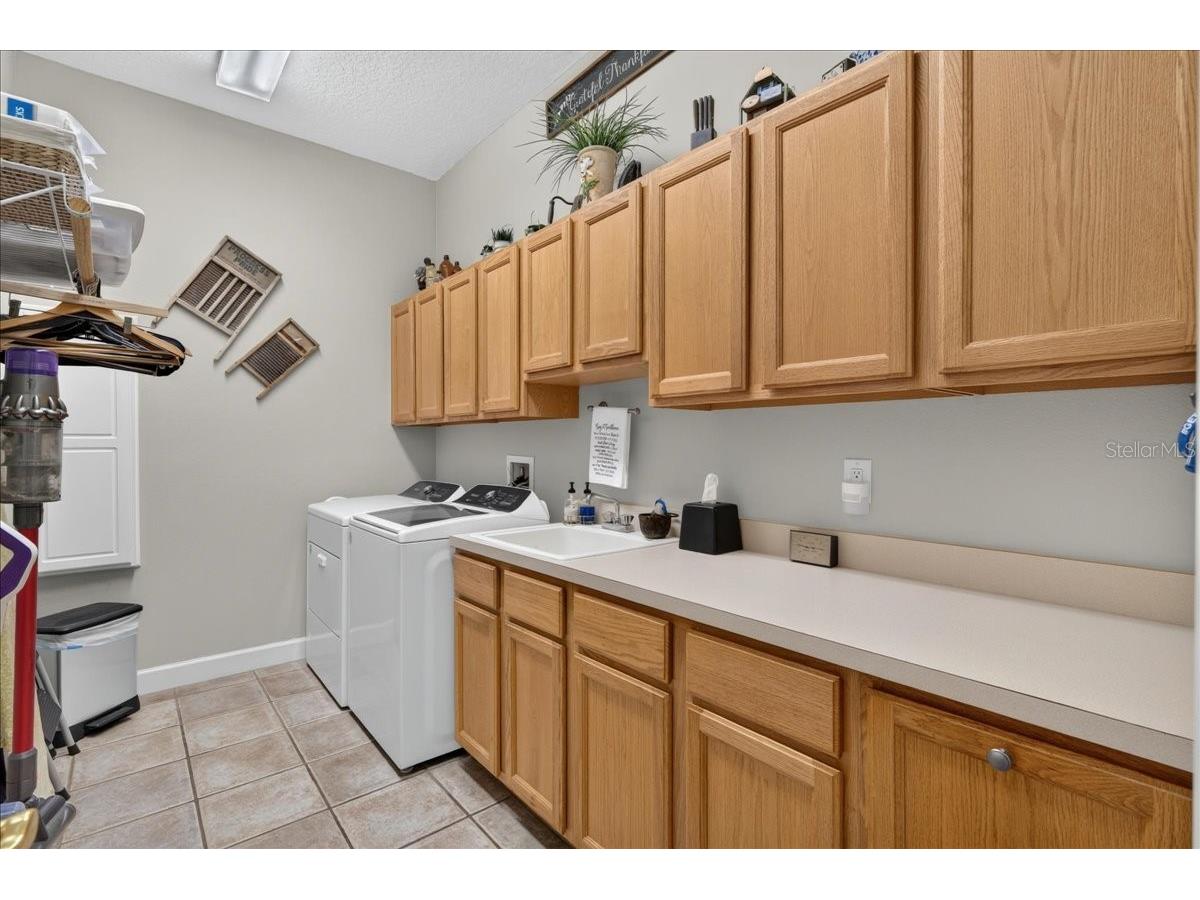 3874 Crescent Cove Place Tarpon Springs FL 34688 TB8528562 image50