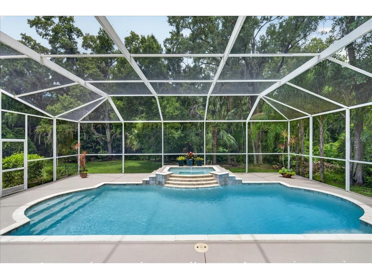 3874 Crescent Cove Place Tarpon Springs FL 34688 TB8528562 image56