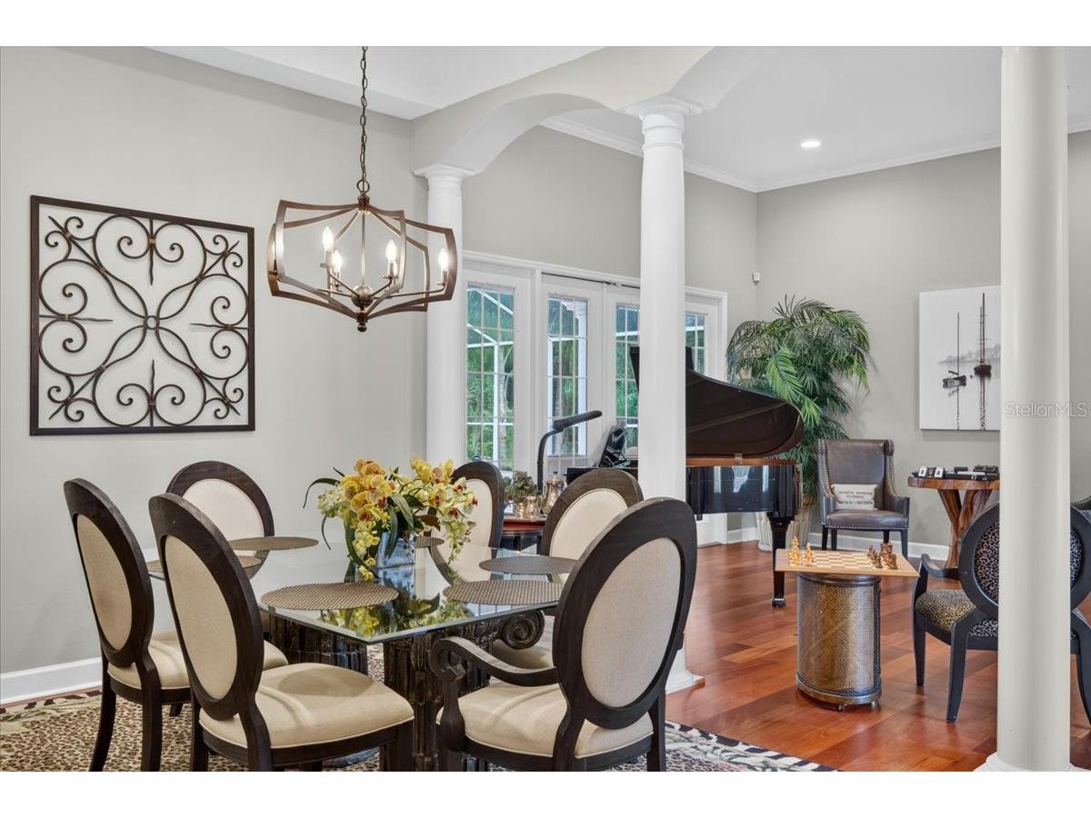 3874 Crescent Cove Place Tarpon Springs FL 34688 TB8528562 image6