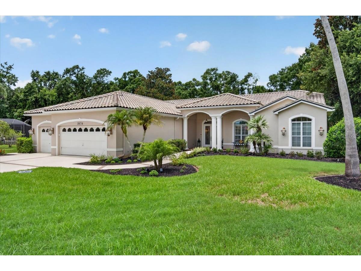 3874 Crescent Cove Place Tarpon Springs FL 34688 TB8528562 image71