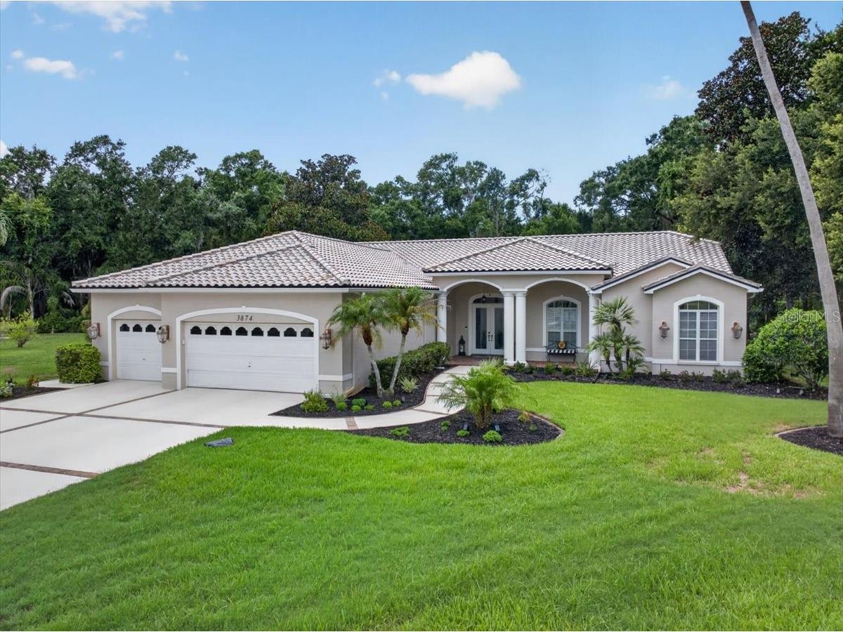 3874 Crescent Cove Place Tarpon Springs FL 34688 TB8528562 image72