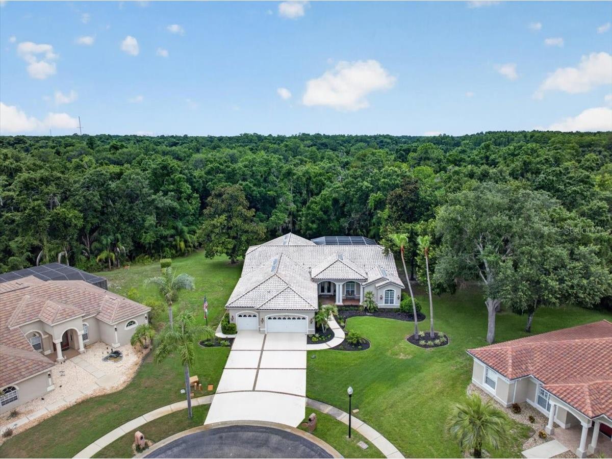 3874 Crescent Cove Place Tarpon Springs FL 34688 TB8528562 image73