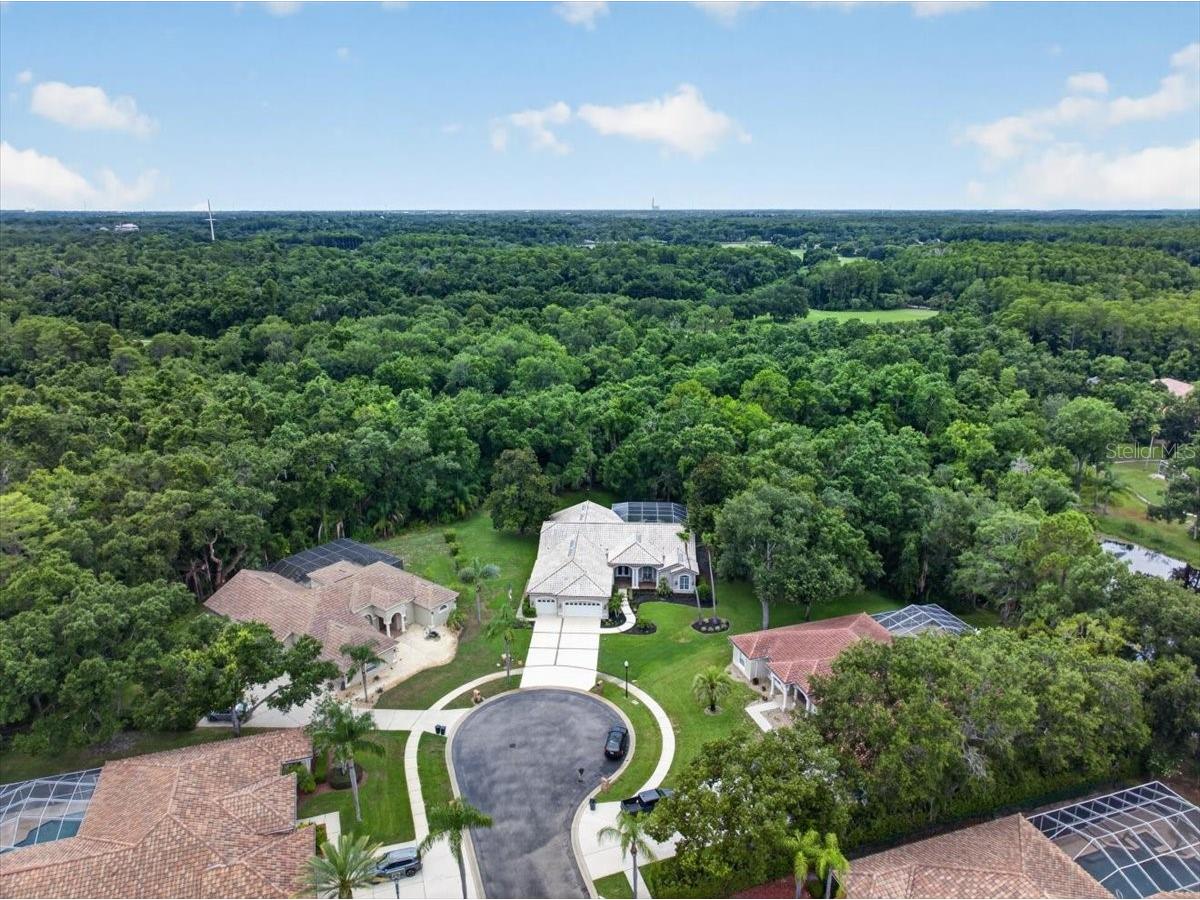 3874 Crescent Cove Place Tarpon Springs FL 34688 TB8528562 image74