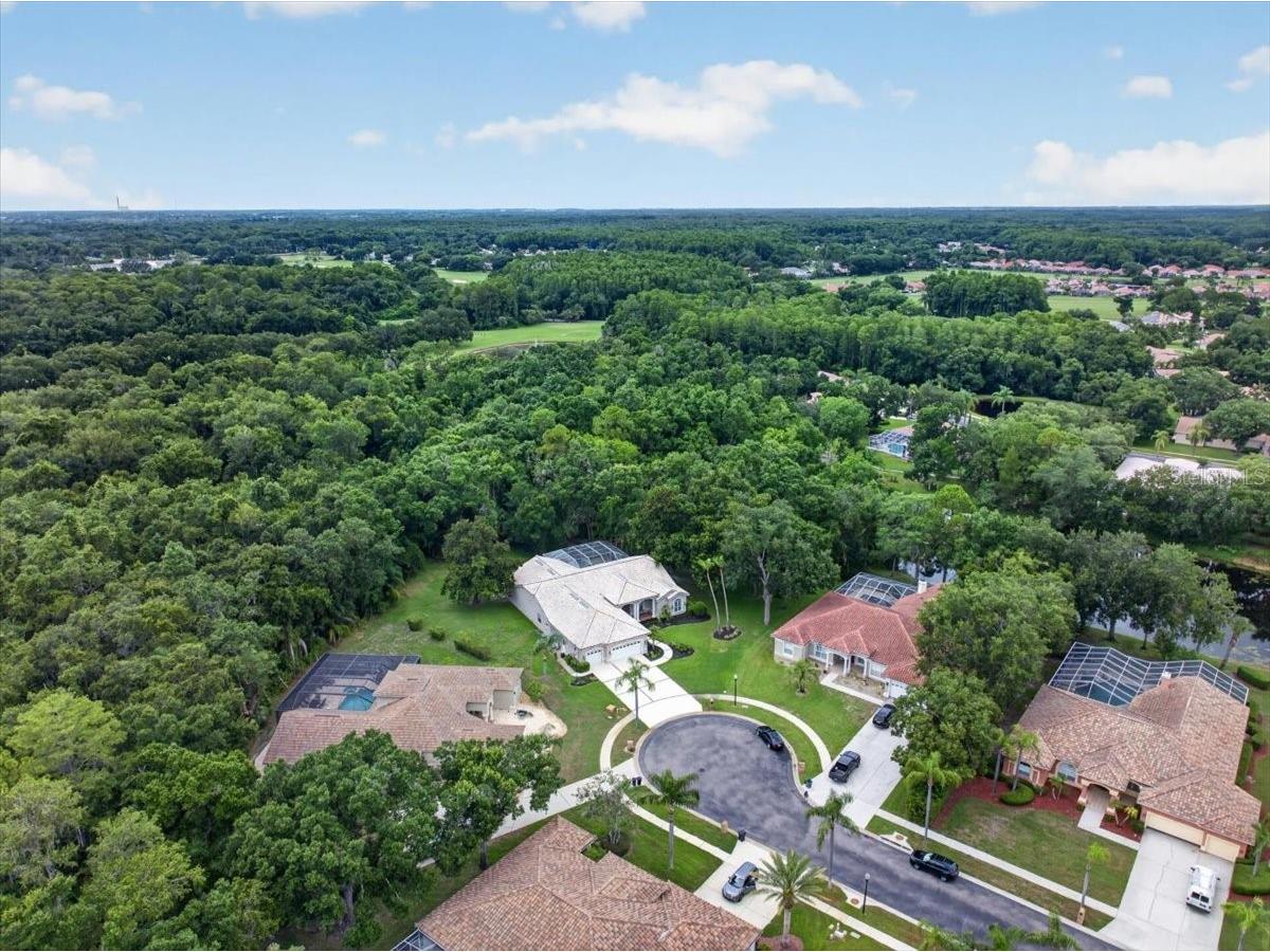 3874 Crescent Cove Place Tarpon Springs FL 34688 TB8528562 image75