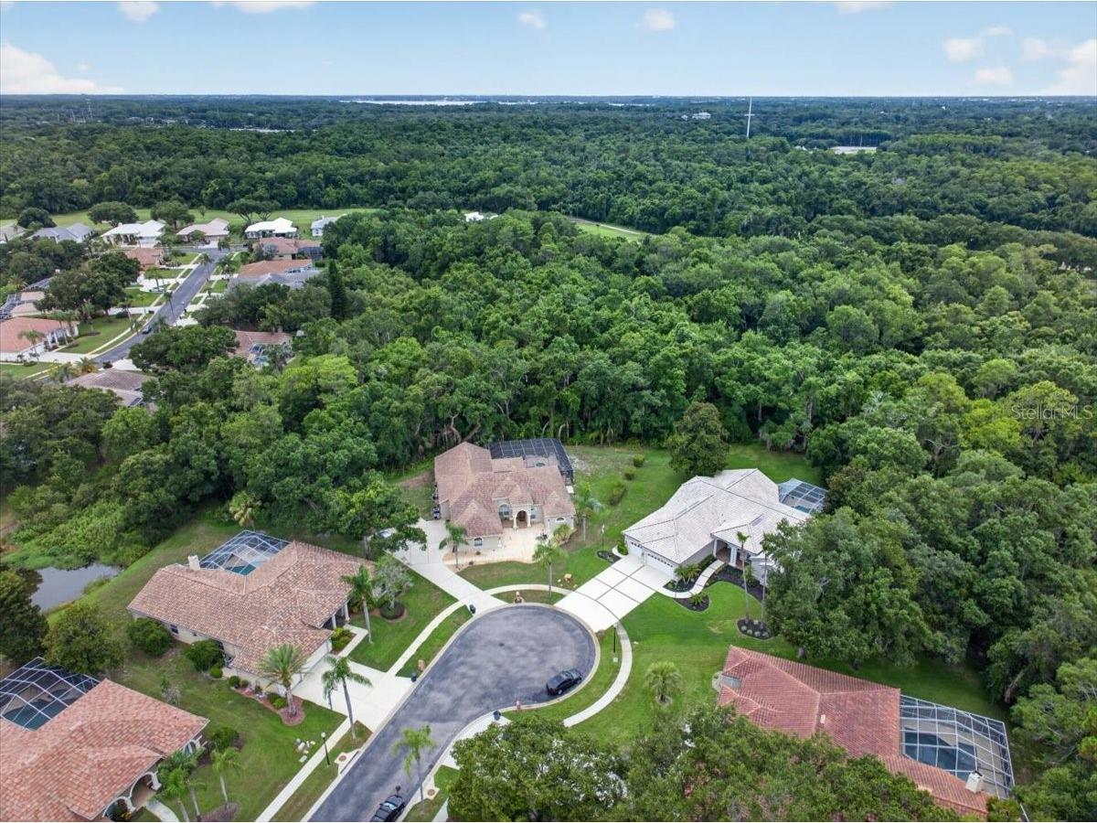 3874 Crescent Cove Place Tarpon Springs FL 34688 TB8528562 image76