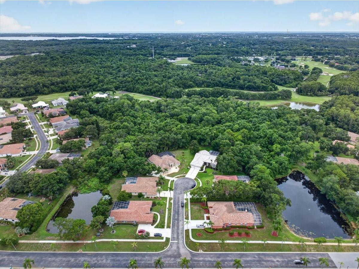 3874 Crescent Cove Place Tarpon Springs FL 34688 TB8528562 image77