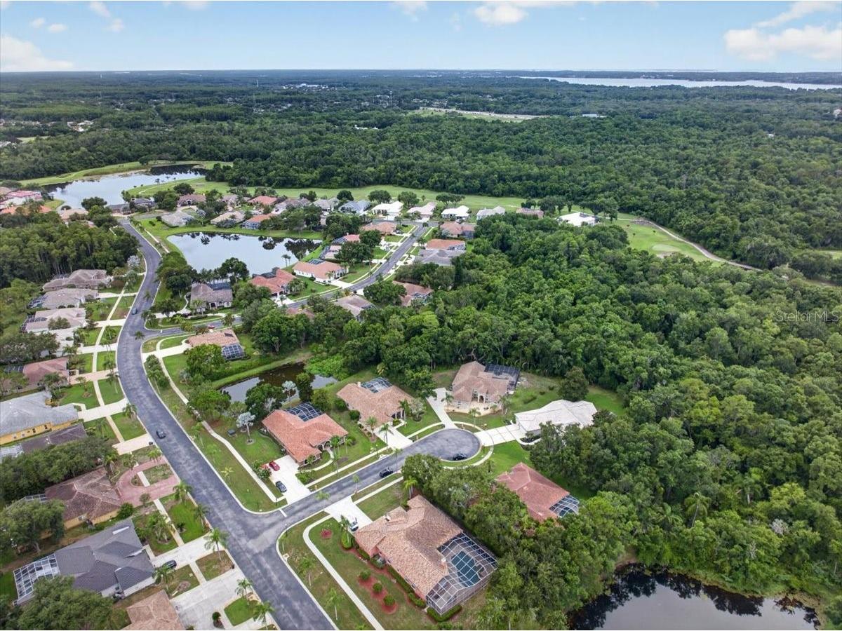 3874 Crescent Cove Place Tarpon Springs FL 34688 TB8528562 image78