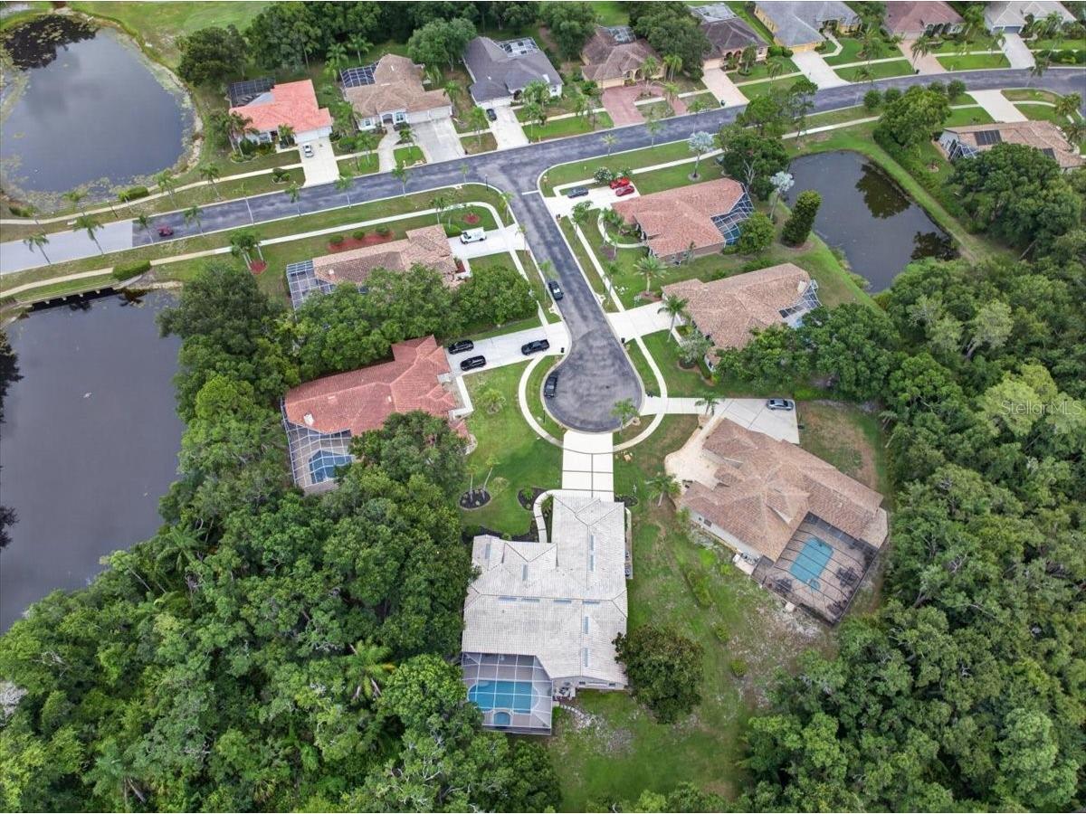 3874 Crescent Cove Place Tarpon Springs FL 34688 TB8528562 image79
