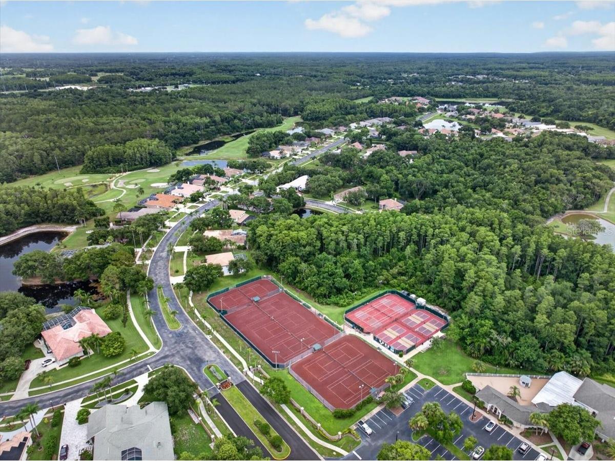 3874 Crescent Cove Place Tarpon Springs FL 34688 TB8528562 image82