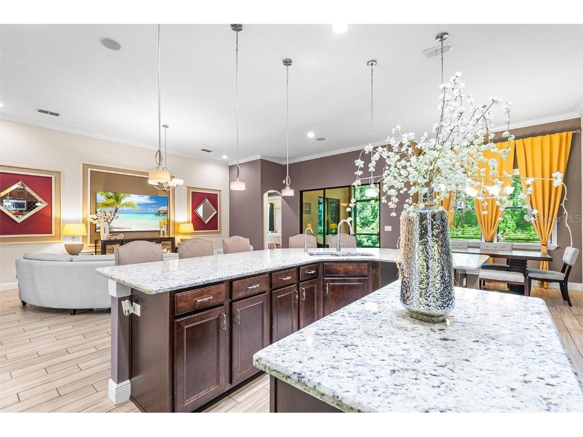 3874 Grandefield Circle Mulberry FL 33860 TB8428967 image20