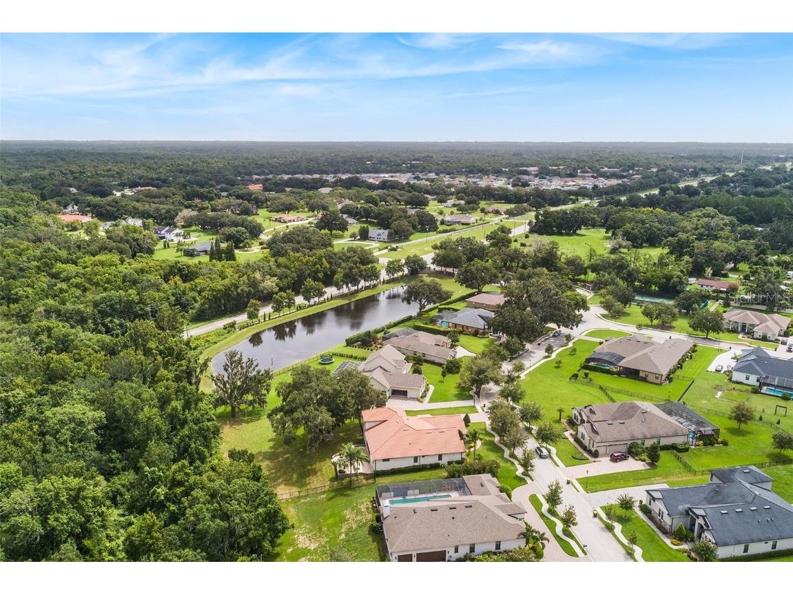 3874 Grandefield Circle Mulberry FL 33860 TB8428967 image54