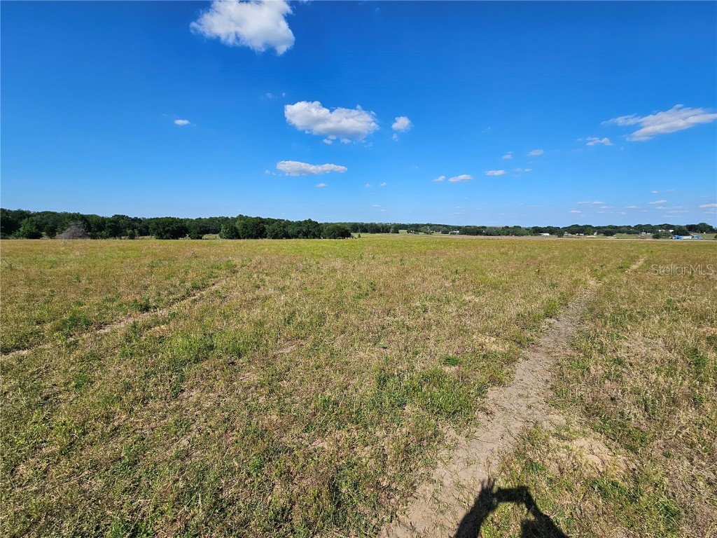 38646 Clinton Avenue Dade City FL 33525 T3519133 image12