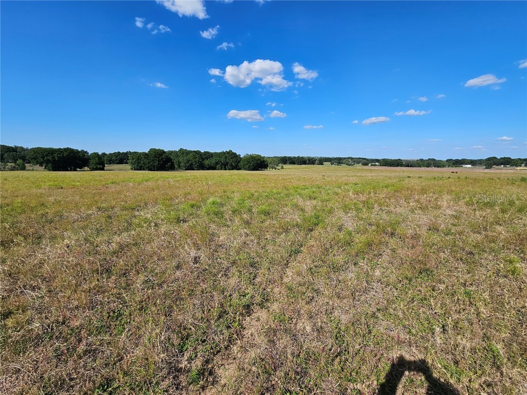 38646 Clinton Avenue Dade City FL 33525 T3519133 image15