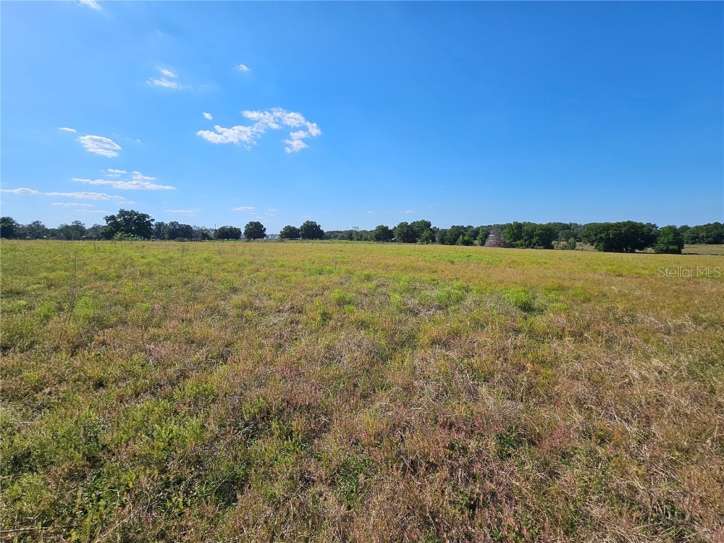 38646 Clinton Avenue Dade City FL 33525 T3519133 image16