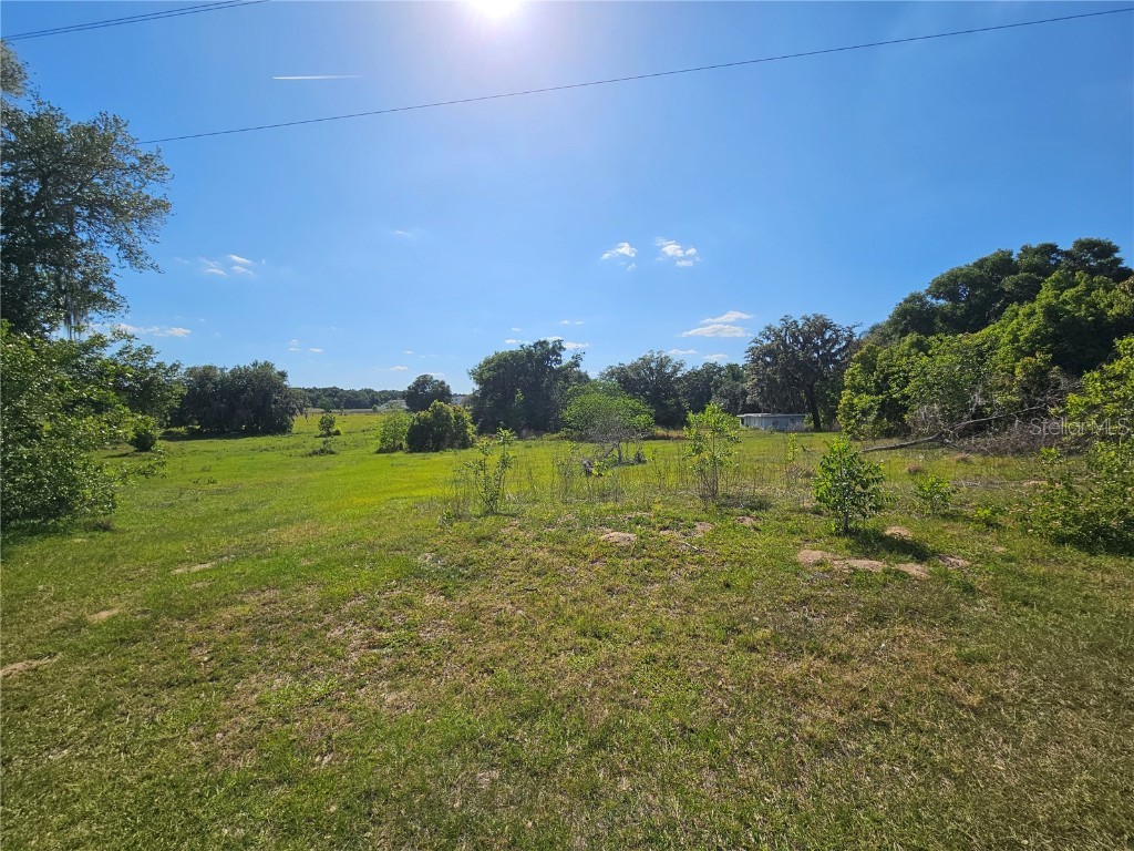 38646 Clinton Avenue Dade City FL 33525 T3519133 image3