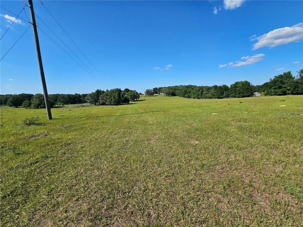 38646 Clinton Avenue Dade City FL 33525 T3519133 image5