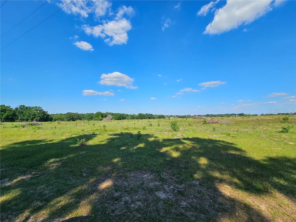 38646 Clinton Avenue Dade City FL 33525 T3519133 image8