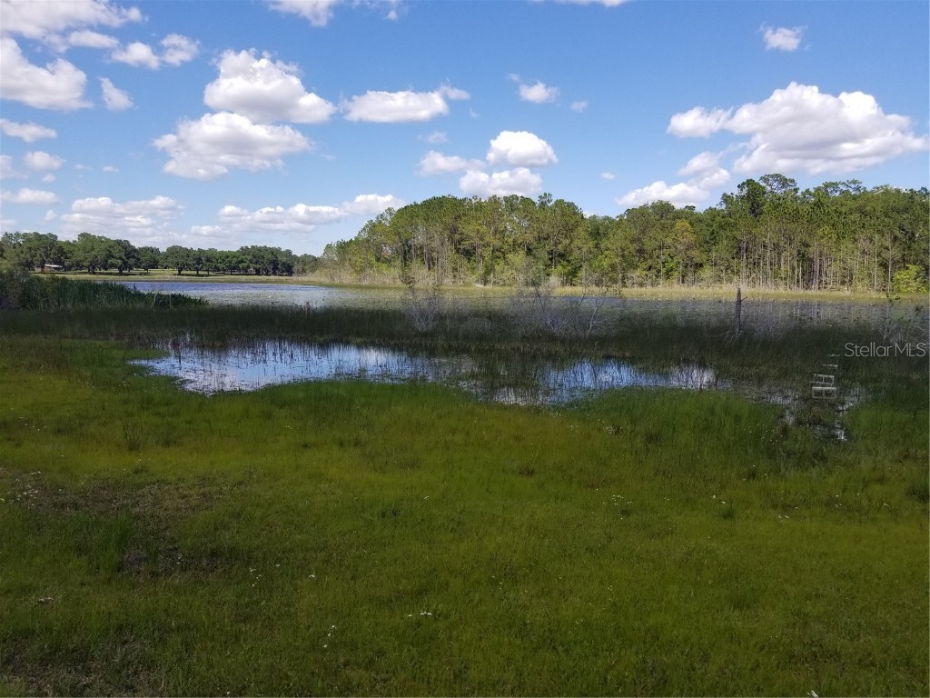 38748 Berchfield Road S Lady Lake FL 32159 - Lady Lake G5072784 image1