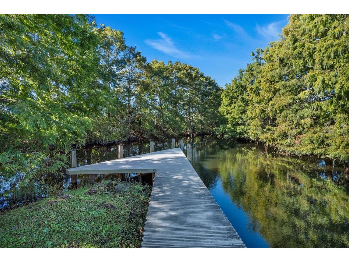 3875 Creek Bed Circle Saint Cloud FL 34769 S5139181 image31