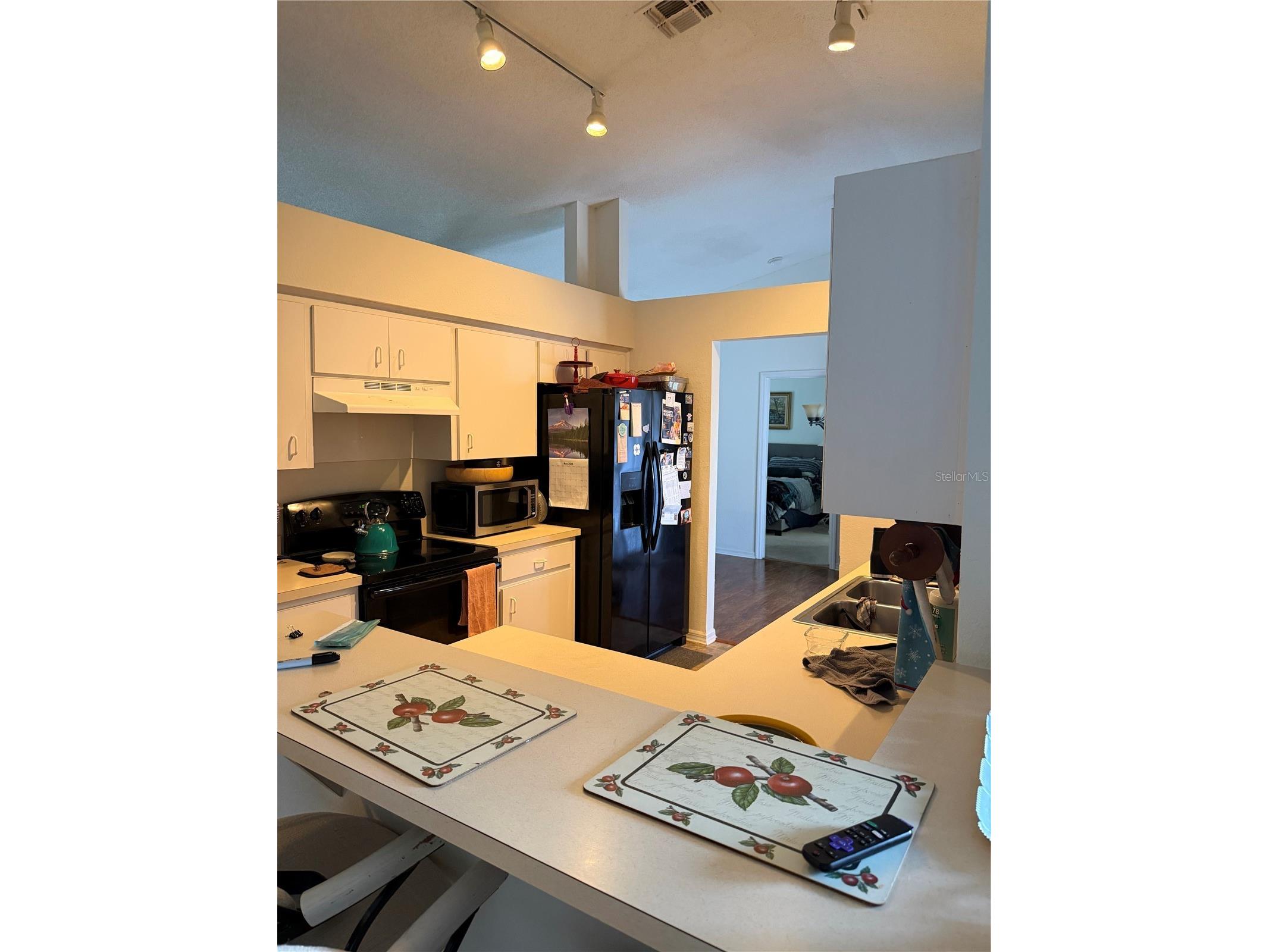 3875 Horizon Hill Drive Lakeland FL 33813 L4962949 image4