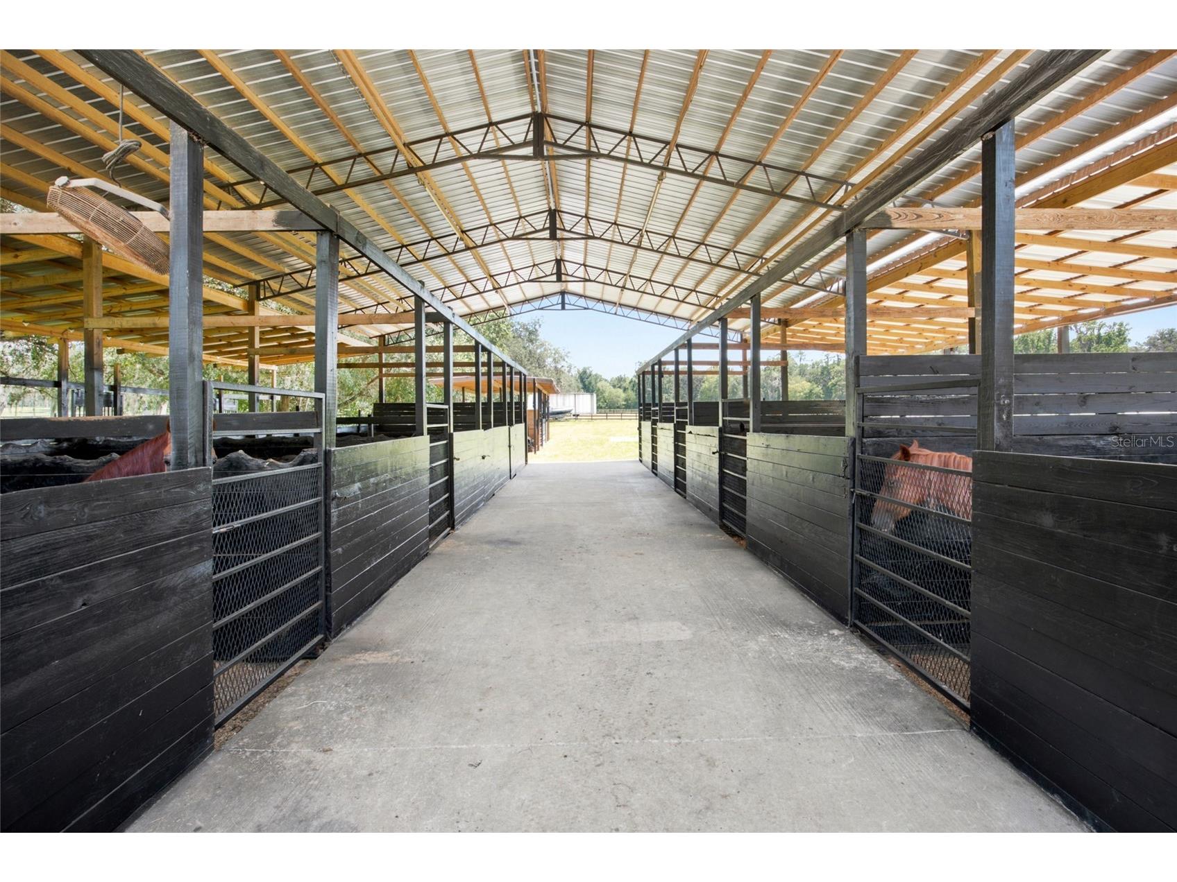 3875 SE 118th Lane Belleview FL 34420 OM729133 image3