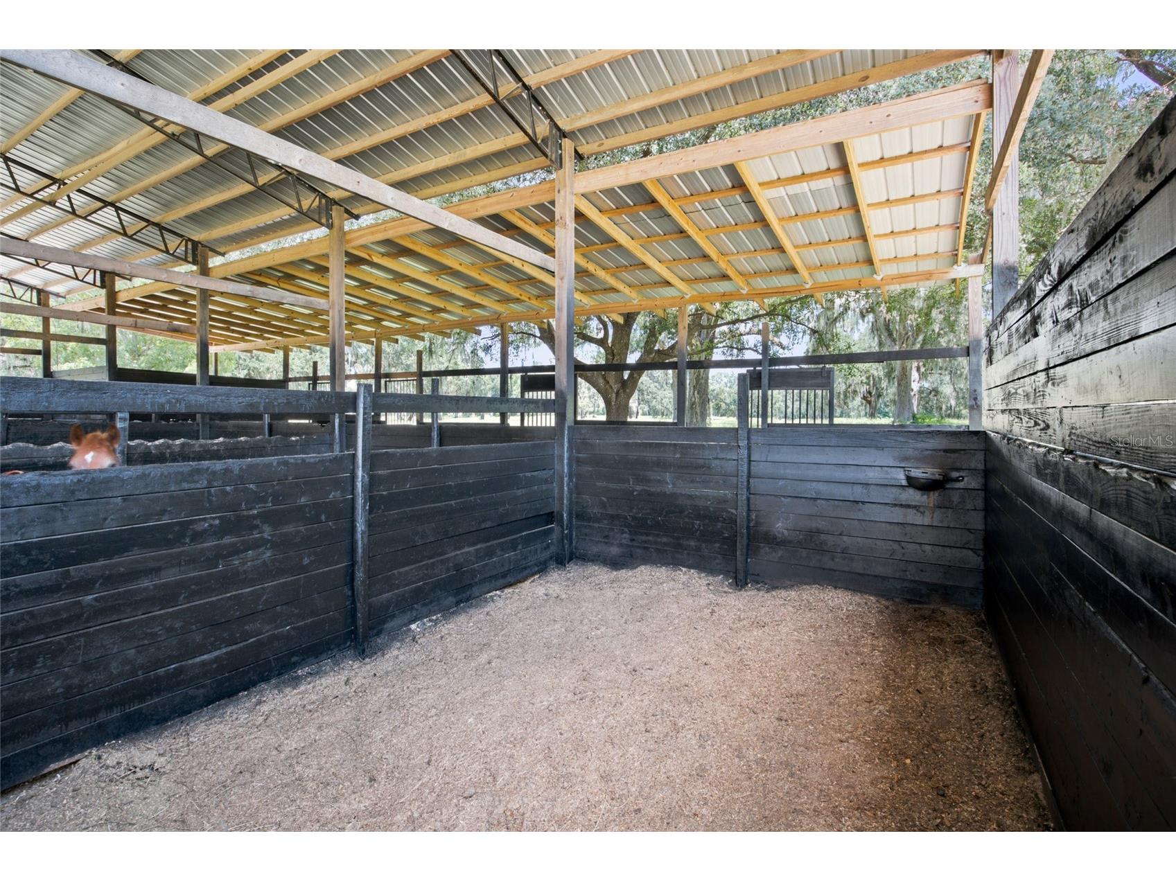 3875 SE 118th Lane Belleview FL 34420 OM729133 image41