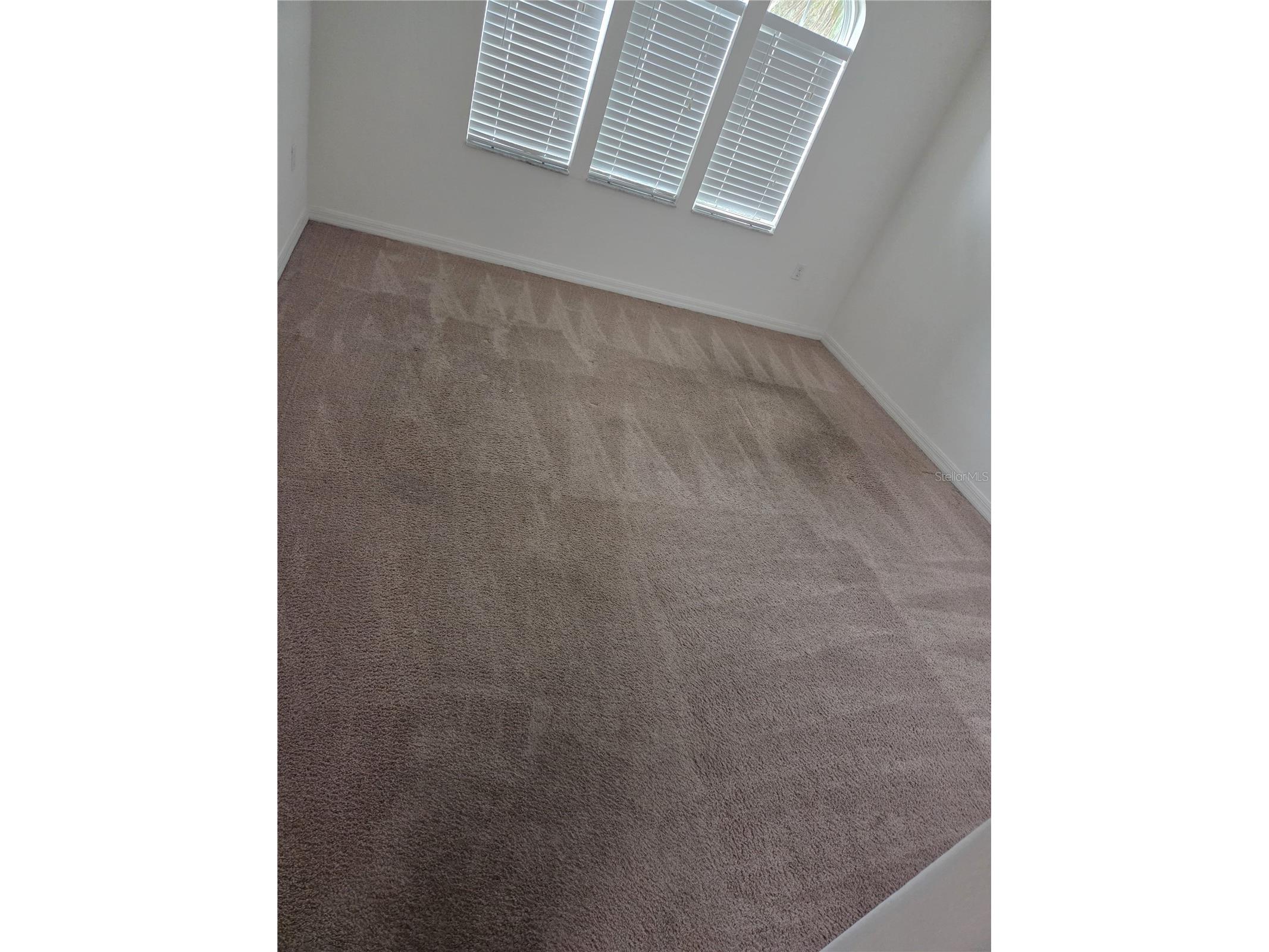 3876 Carrick Bend Drive Kissimmee FL 34746 S5144872 image7