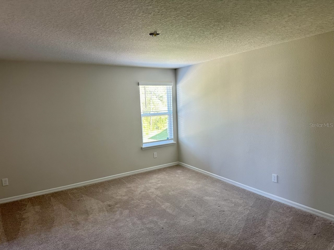 3876 Crawley Down Loop Sanford FL 32773 O6369895 image4