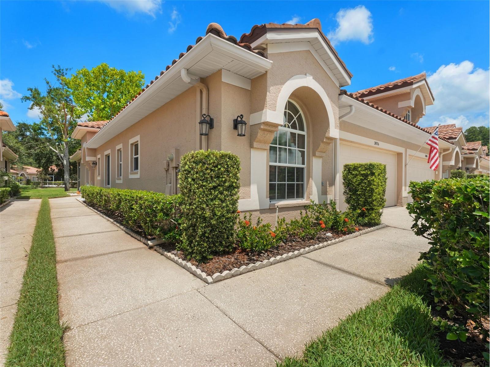 3876 Timber Ridge Court Palm Harbor FL 34685 TB8442872 image1
