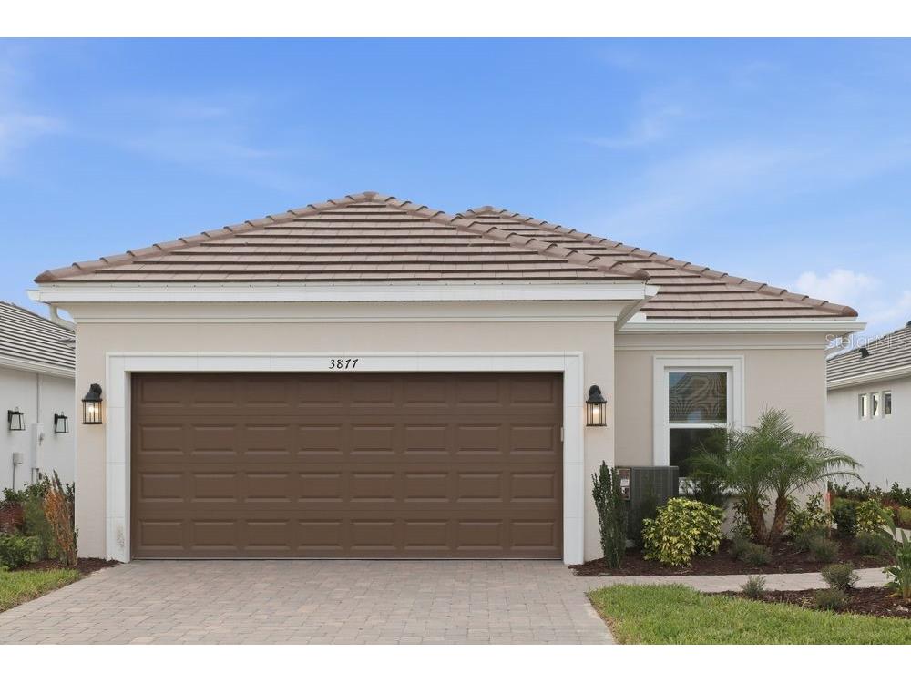 3877 Consolare Court Wesley Chapel FL 33543 TB8400784 image1