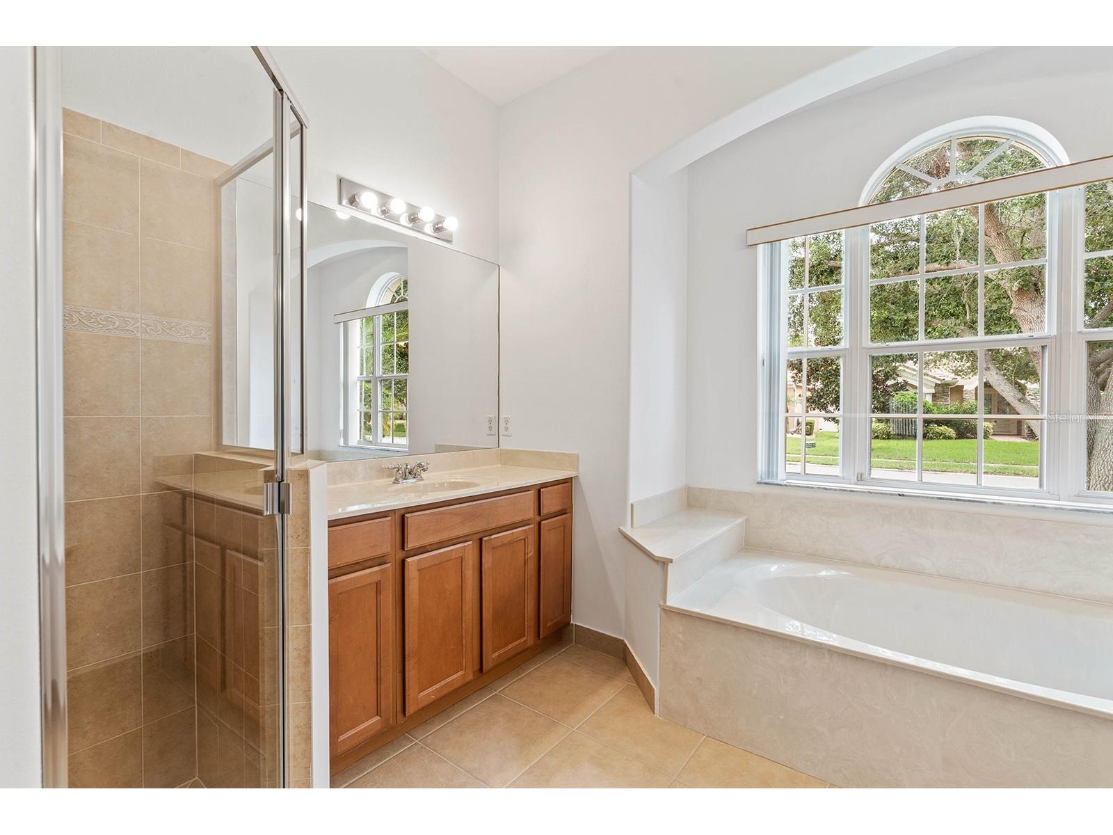 3877 Shoreview Drive Kissimmee FL 34744 O6411151 image12