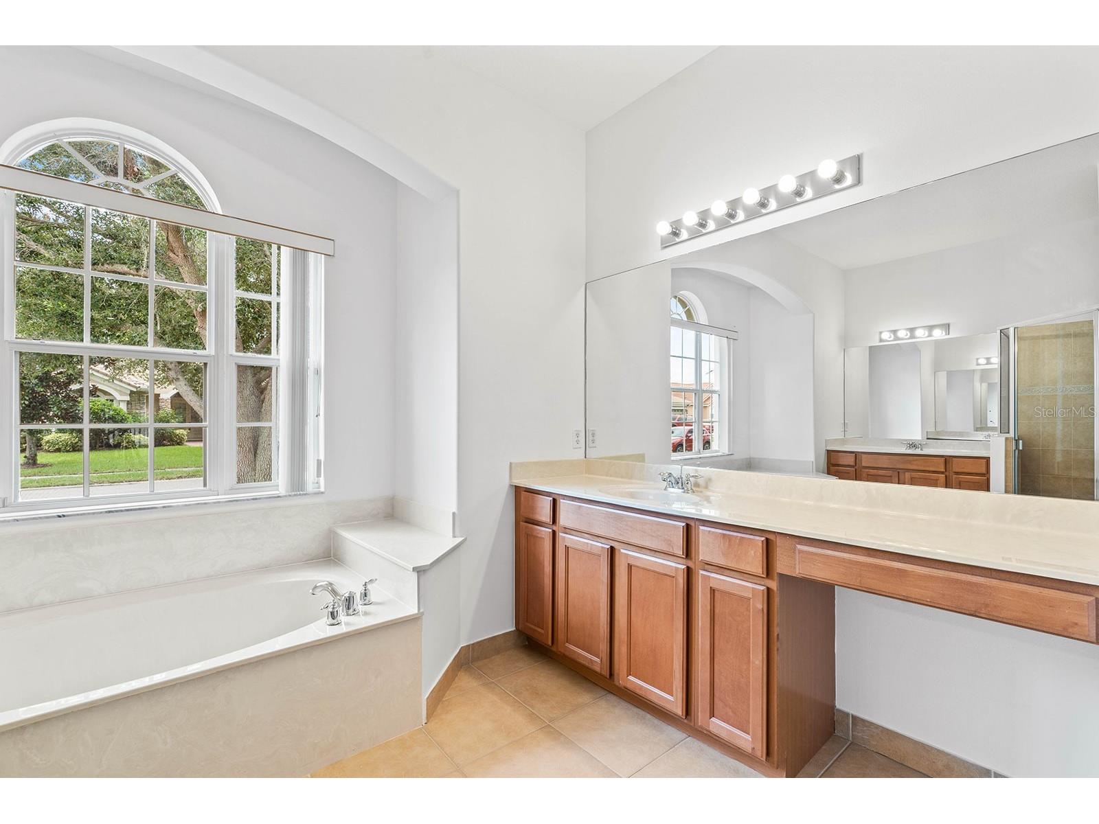 3877 Shoreview Drive Kissimmee FL 34744 O6411151 image13
