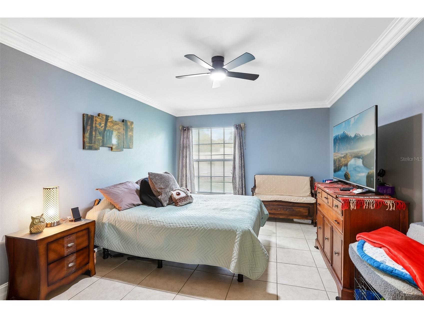 3878 Tanager Place Palm Harbor FL 34685 TB8515007 image14
