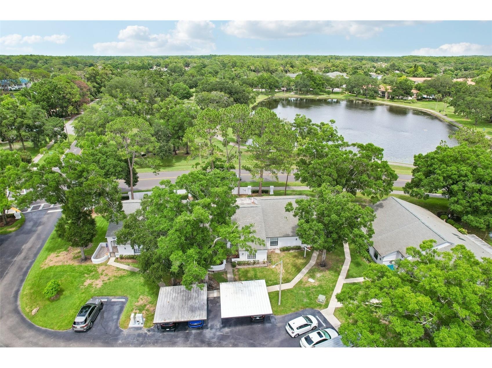 3878 Tanager Place Palm Harbor FL 34685 TB8515007 image2