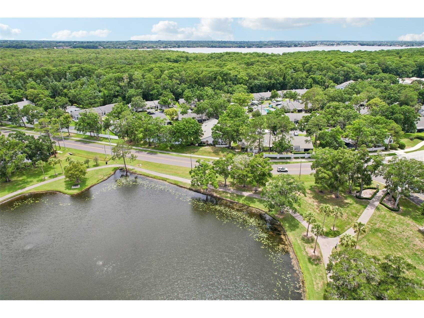 3878 Tanager Place Palm Harbor FL 34685 TB8515007 image24
