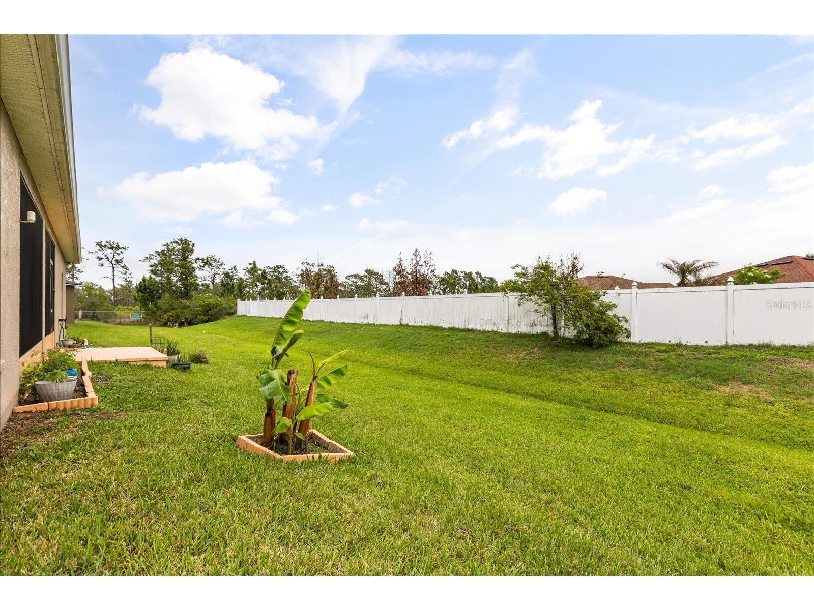 3878 Wood Thrush Drive Kissimmee FL 34744 O6396827 image34