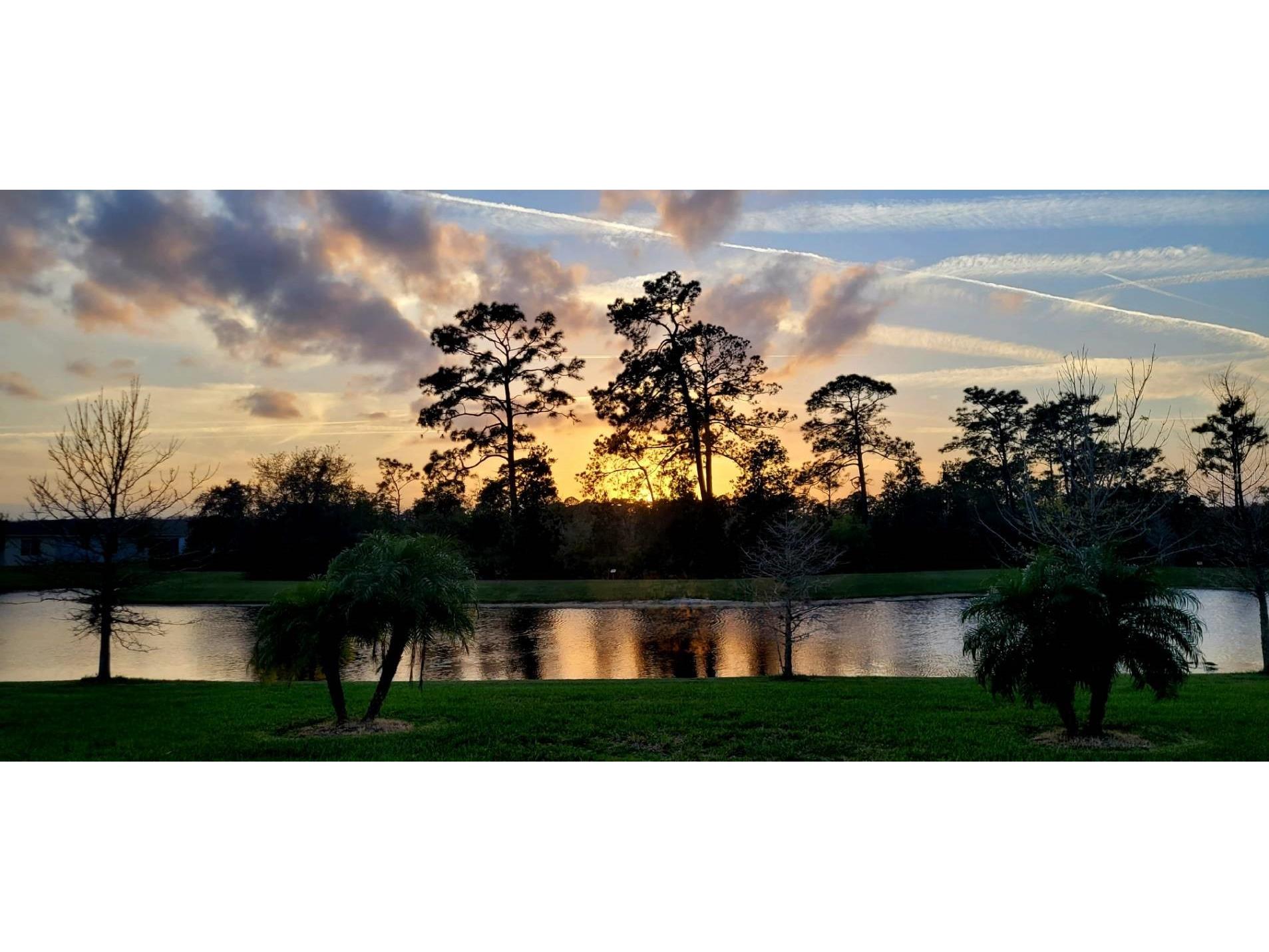 3879 Winged Elm Court Clermont FL 34714 O6393569 image17