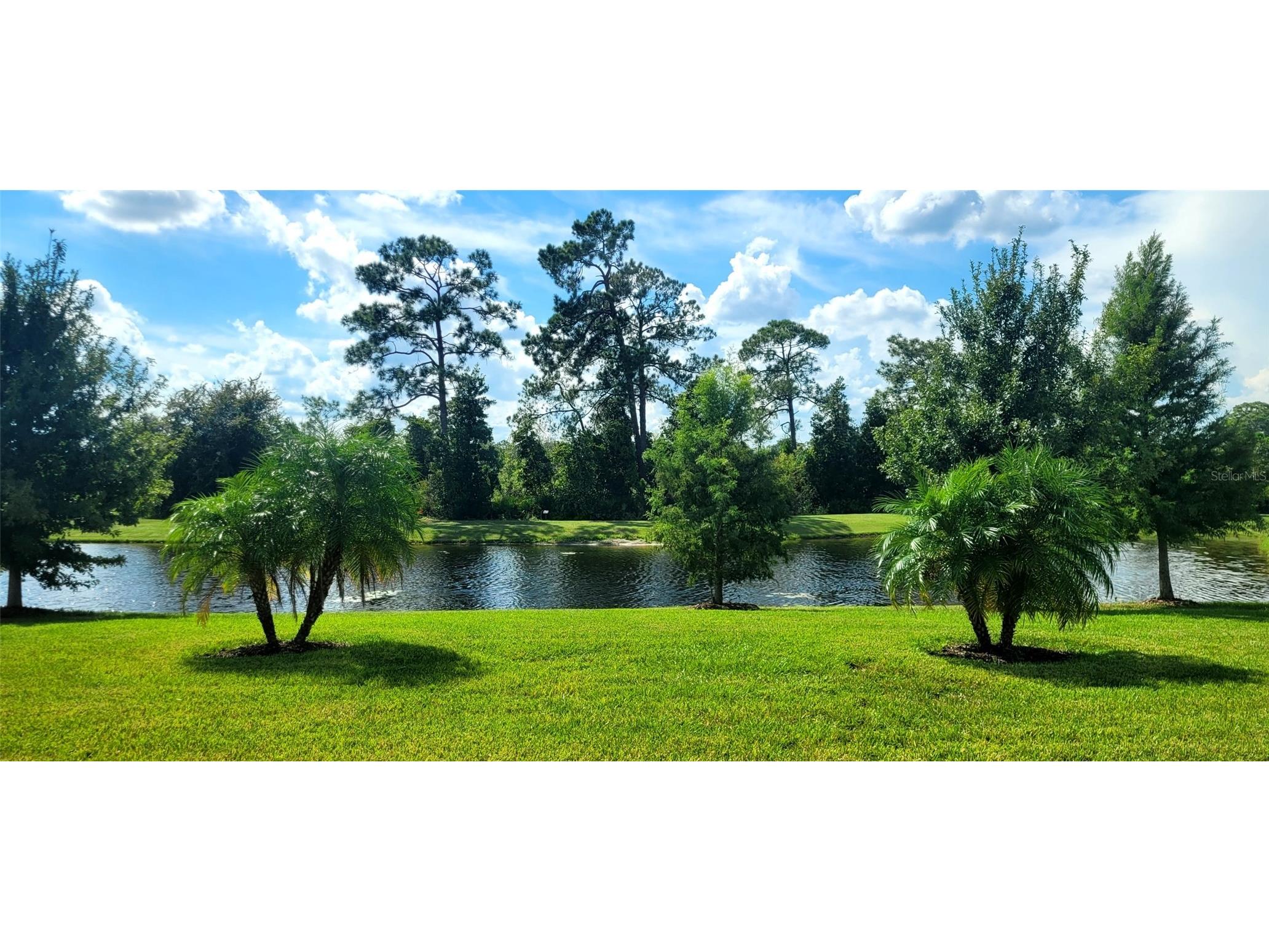 3879 Winged Elm Court Clermont FL 34714 O6393569 image18