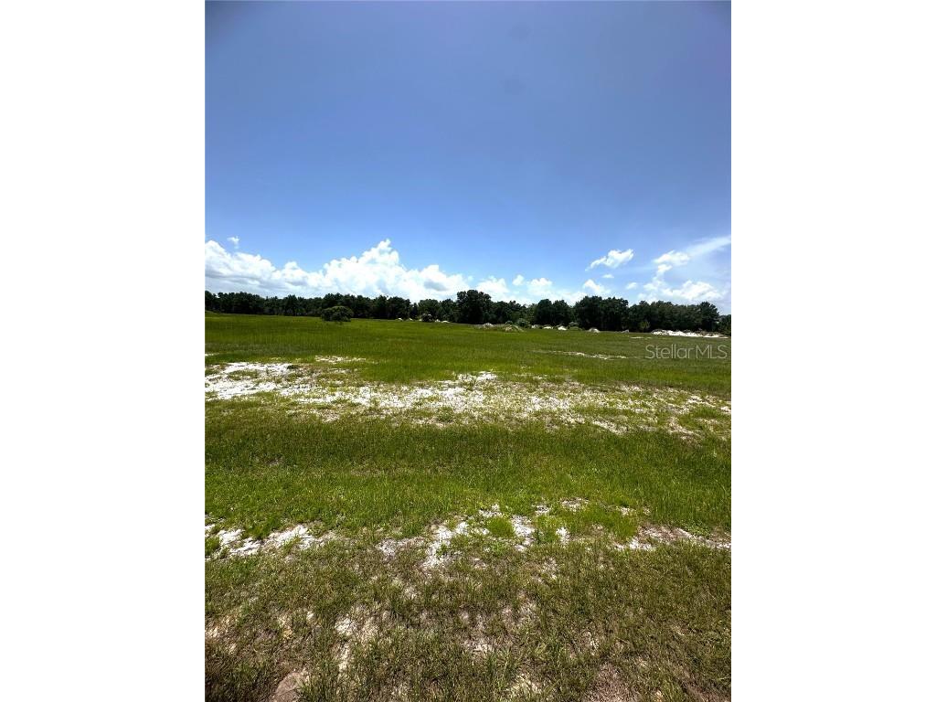 38793 Ranch Gate Boulevard Umatilla FL 32784 - LAKE DALHOUSIE G5098067 image1