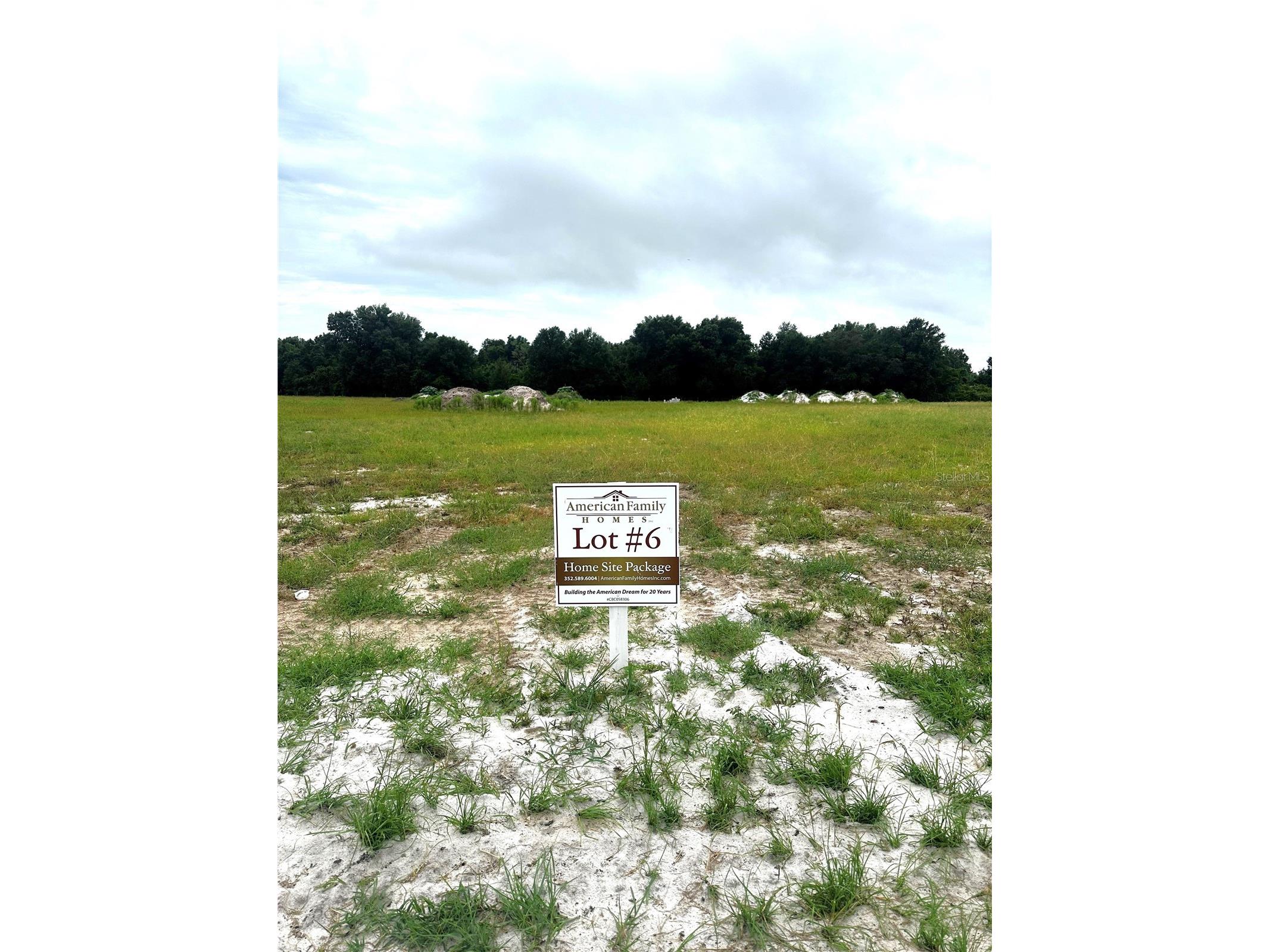 38797 Ranch Gate Boulevard Umatilla FL 32784 - LAKE DALHOUSIE G5084771 image1