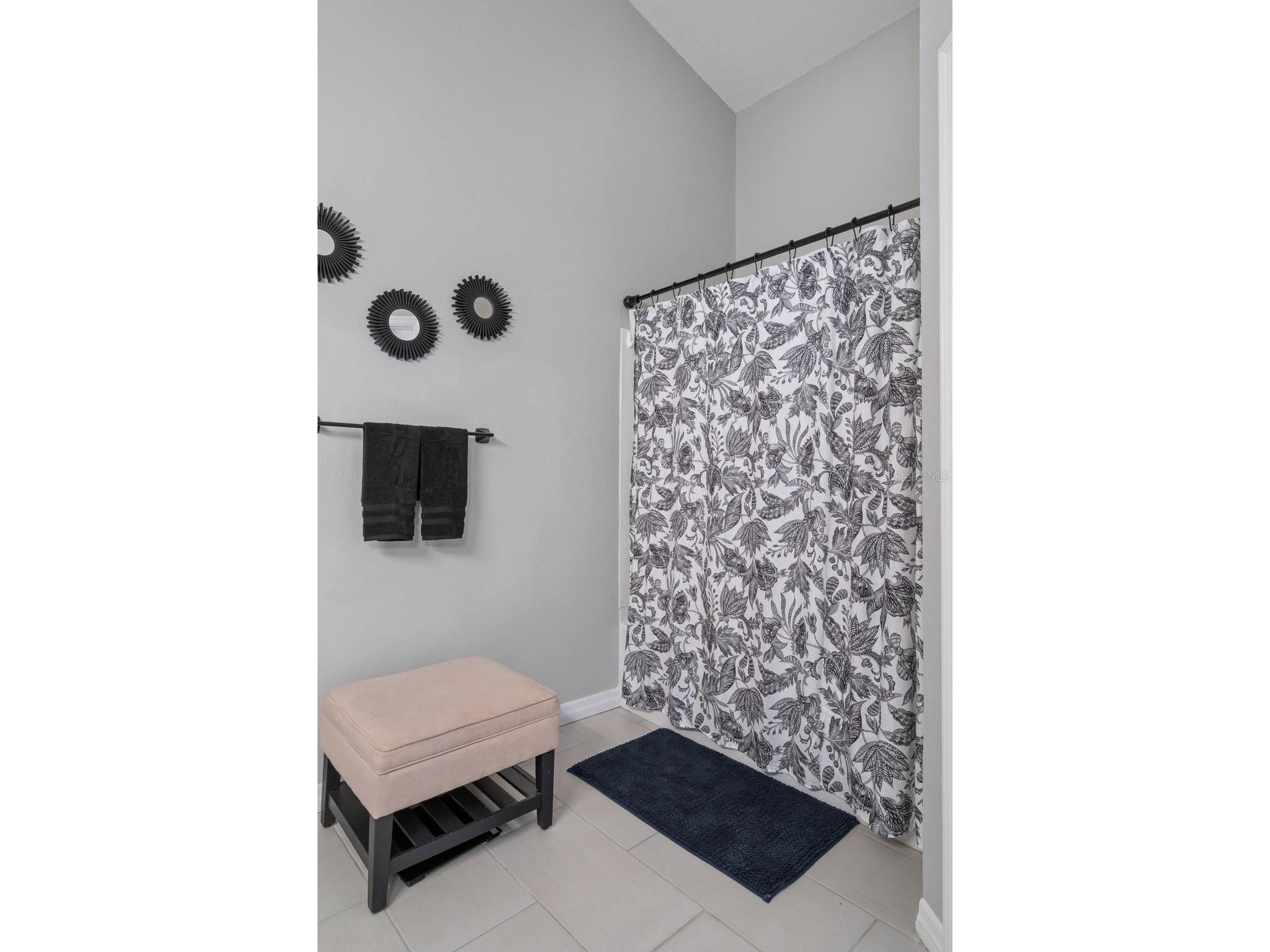 388 Countryside Key Boulevard Oldsmar FL 34677 TB8478422 image21