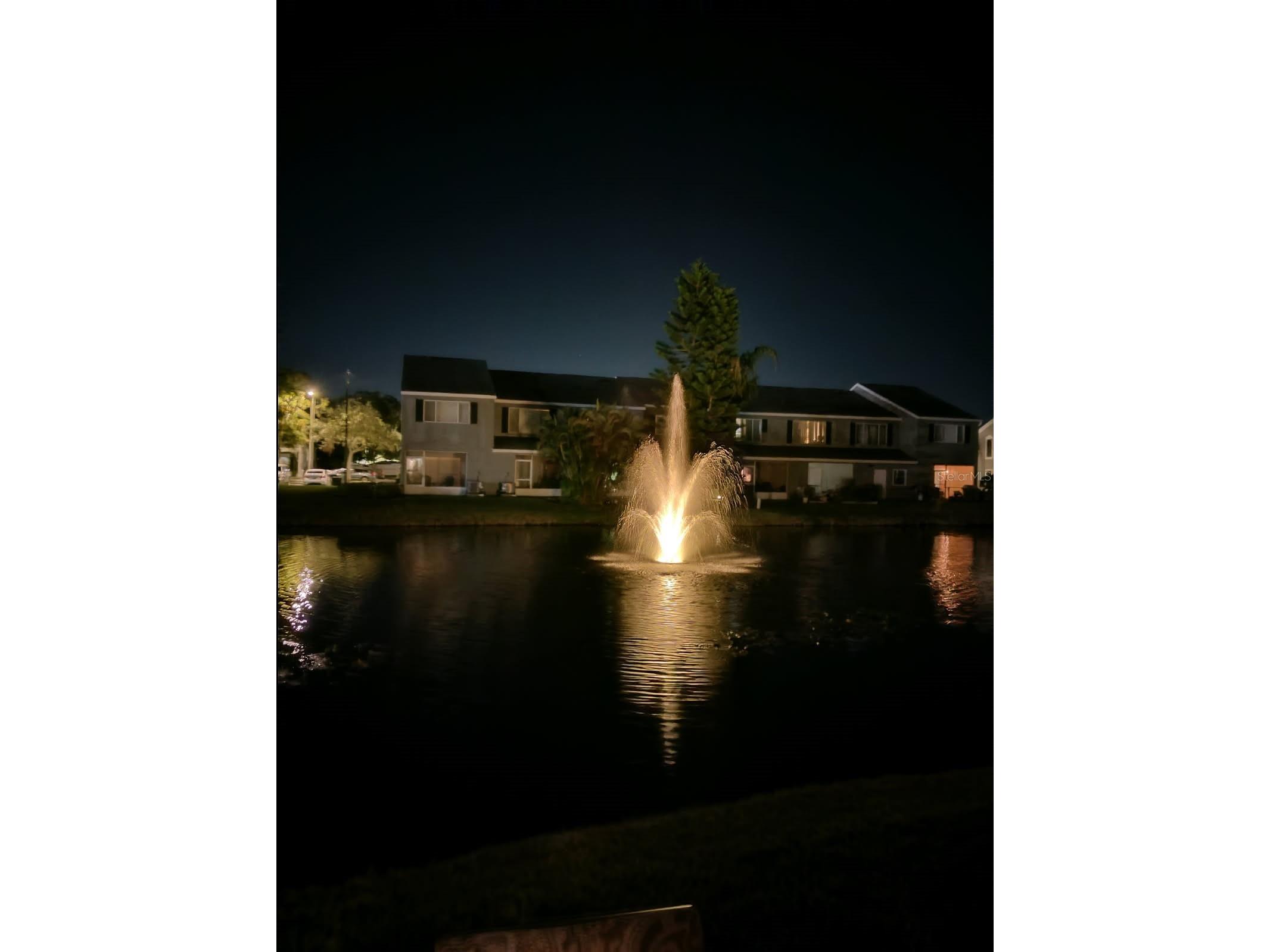 388 Countryside Key Boulevard Oldsmar FL 34677 TB8478422 image26